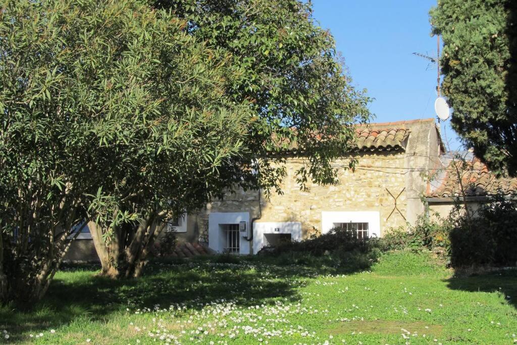Gite De L'Eglise Sablet Exterior foto
